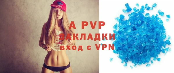 прущие грибы Ростов