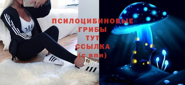 гашик Арсеньев