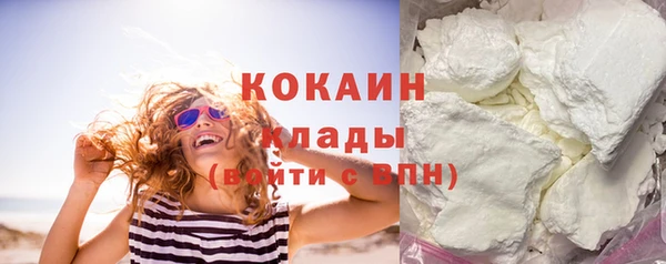 индика Аркадак