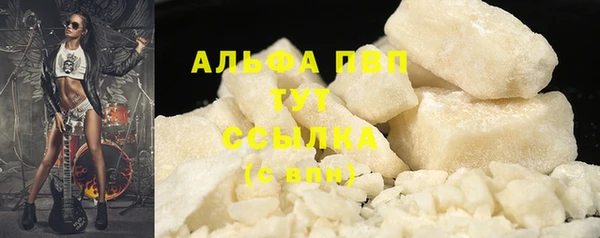 индика Аркадак