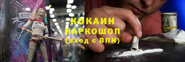 гашик Арсеньев