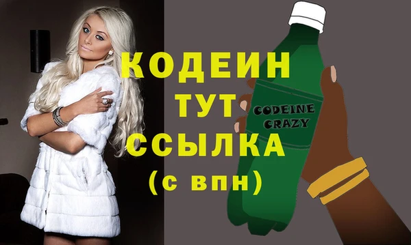 индика Аркадак