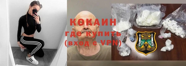 индика Аркадак