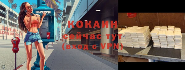 индика Аркадак